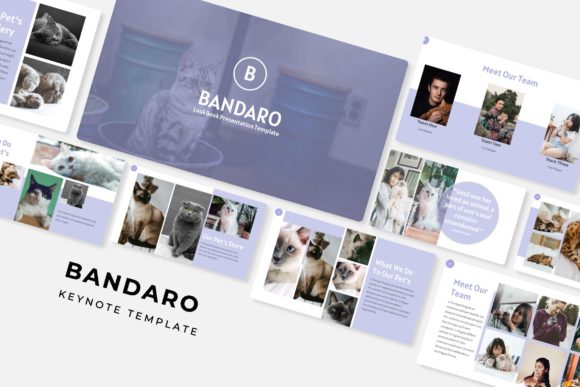 Unlock Creativity with Bandaro Keynote Template